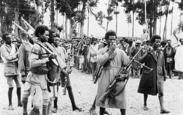 Africans fought in World War 2
