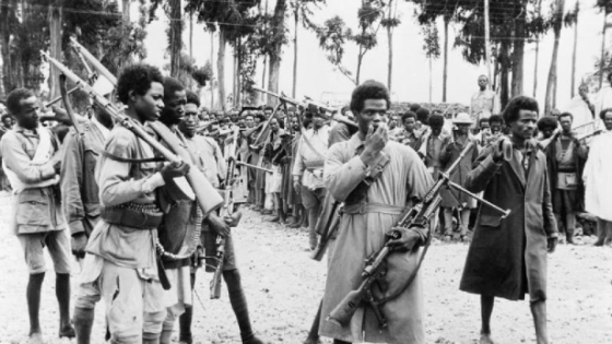 Africans fought in World War 2